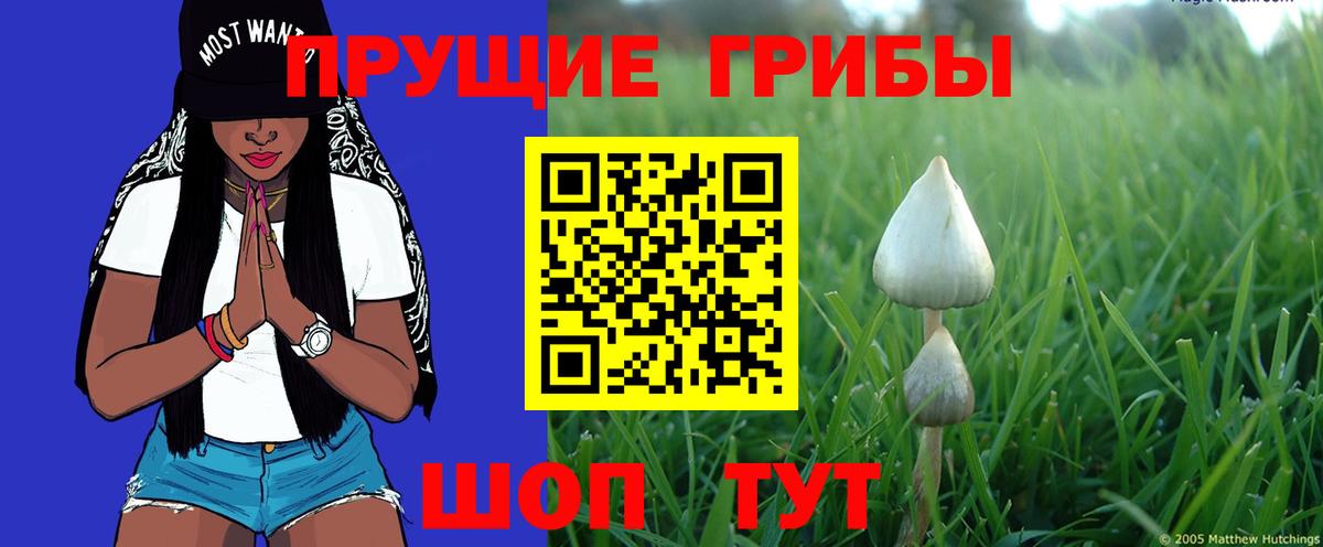 Каннабис  МЕТАДОН  Меф МЯУ МЯУ кристаллы  ГАШ  Вход с VPN  Ростов Великий  COCAIN 