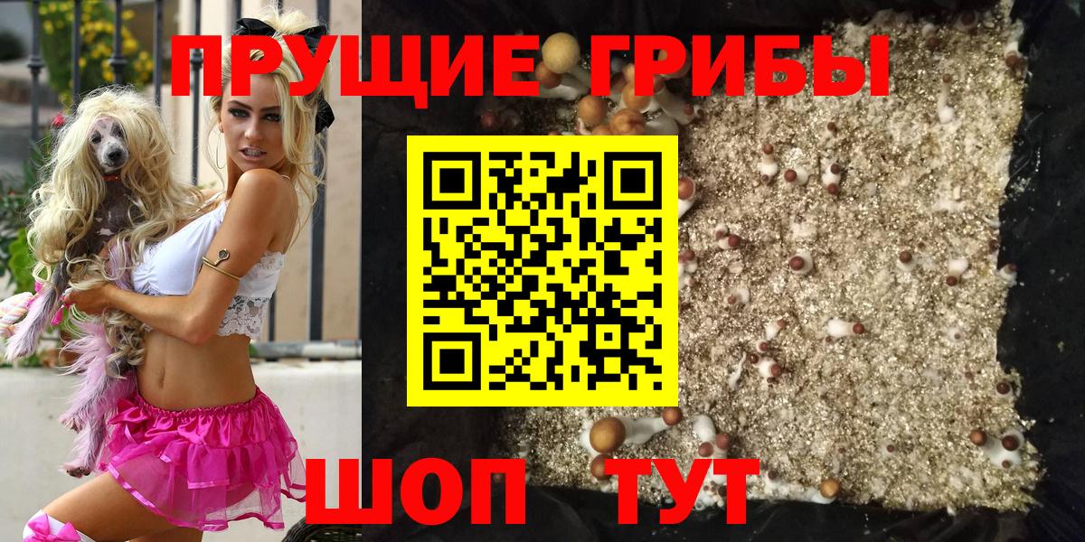 Галлюциногенные грибы Cubensis Ростов Великий